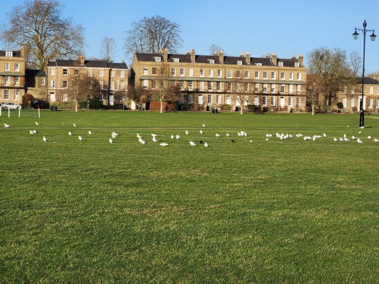 カフェでのスケッチ